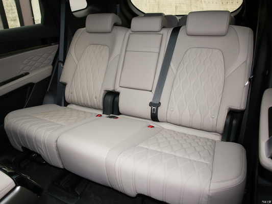 Great Value BYD Tang Plug-in Hybrid 200KM Champion Edition 7-zits SUV 8 Maand