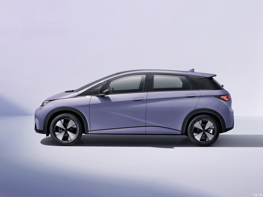 BYD Dolphin EV Car Hatchback 4125*1770-1570 L*W*H mm Voorplaat Achterplaatrem