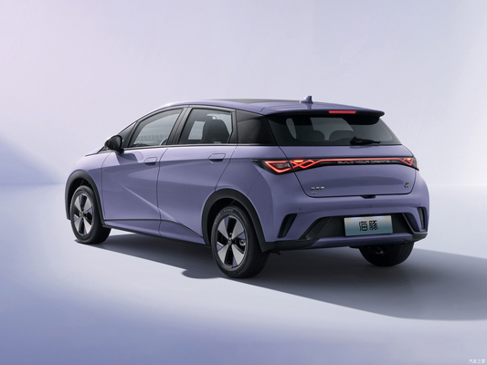 BYD Dolphin EV Car Hatchback 4125*1770-1570 L*W*H mm Voorplaat Achterplaatrem