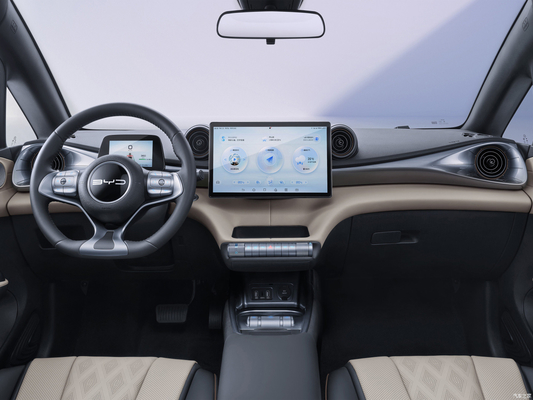 BYD Dolphin EV Car Hatchback 4125*1770-1570 L*W*H mm Voorplaat Achterplaatrem