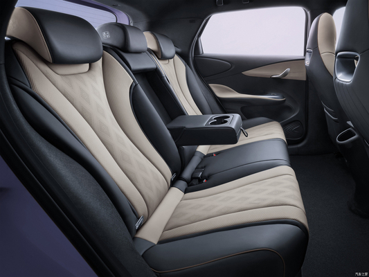 BYD Dolphin EV Car Hatchback 4125*1770-1570 L*W*H mm Voorplaat Achterplaatrem