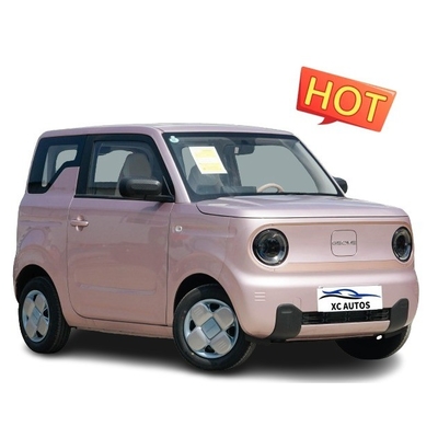 Geely Panda Mini Endurance Ev 200 km 4 zitplaatsen en met voor- en achterschijfremmen