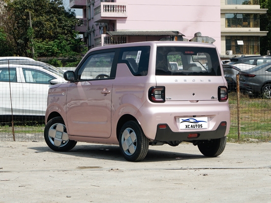 Geely Panda Mini Endurance Ev 200 km 4 zitplaatsen en met voor- en achterschijfremmen