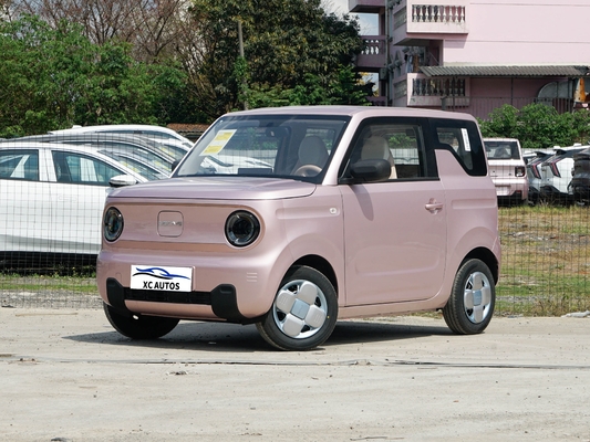 Geely Panda Mini Endurance Ev 200 km 4 zitplaatsen en met voor- en achterschijfremmen