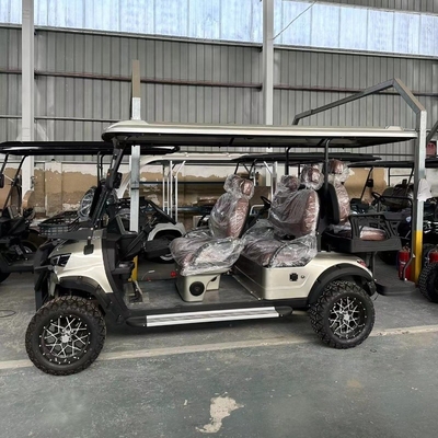 Goedkoopste elektrische golfkar Mini ATV 4 6 zitplaatsen met fosforzuurbatterij