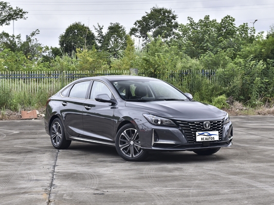 2023 Changan RAETON PLUS Euro VI-emissies Sedan met R16 gas/benzine en lederen stoelen