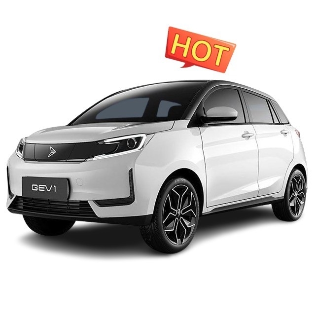 Xinte 2020 Qi Neng GEV 1 Euro VI 305KM 5-deurs Vierzitter hatchback met snelle oplaad